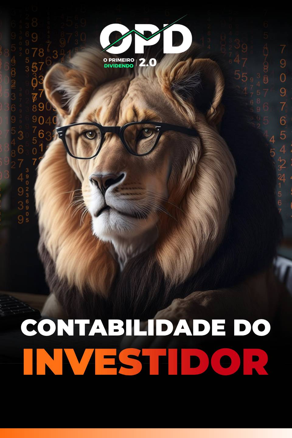 Contabilidade do Investidor
